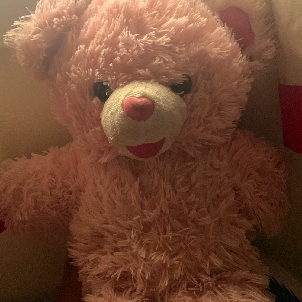 I am selling this pink bear she is really soft good to sleep with and save